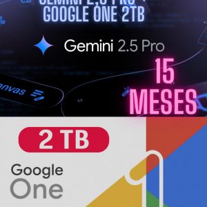 GEMINI PRO