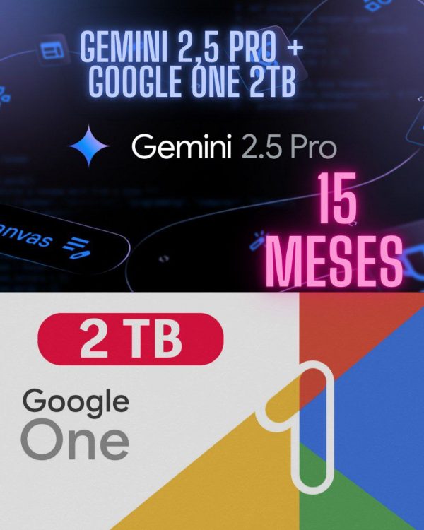 GEMINI PRO